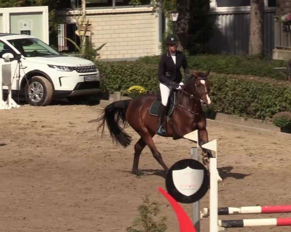 Reitturnier Siegen 2019