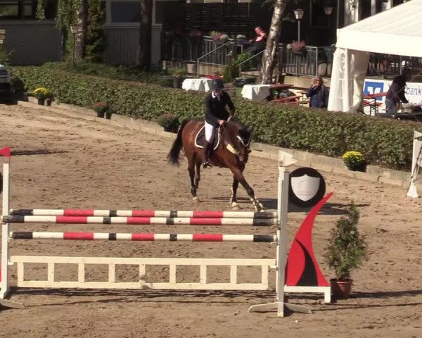 Reitturnier Siegen 2019