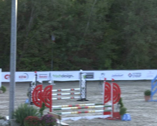 Reitturnier Neunkirchen-City 2019