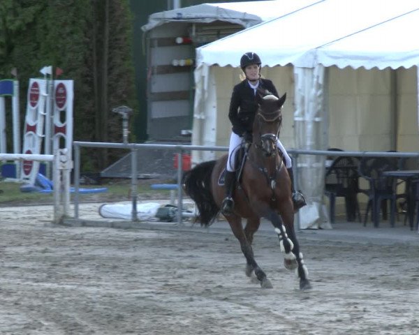 Reitturnier Neunkirchen-City 2019