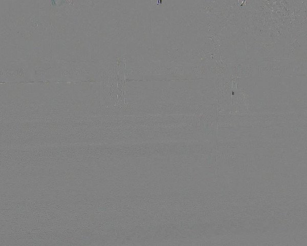 Reitturnier Neunkirchen-City 2019