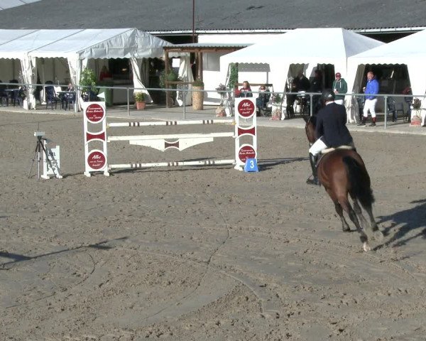 Reitturnier Neunkirchen-City 2019