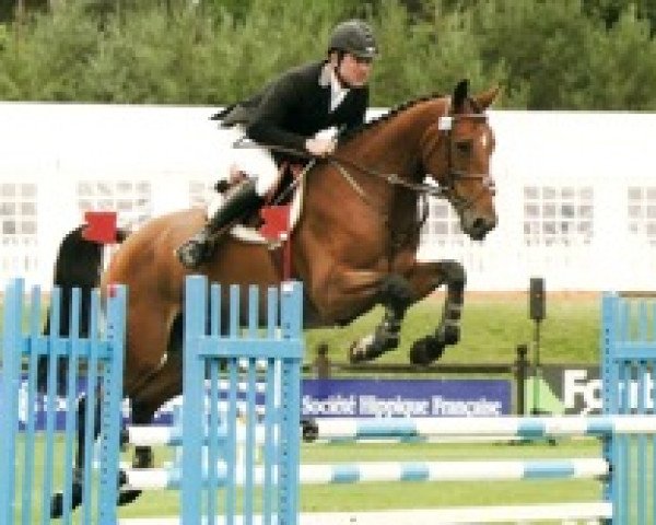 broodmare Praline Mail (Selle Français, 2003, from Alcamera de Moyon)