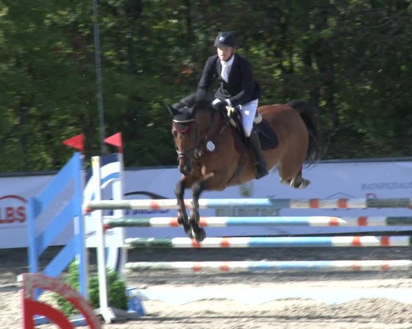 Reitturnier Neunkirchen-City 2019