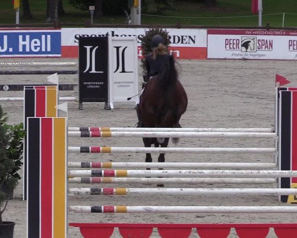 Reitturnier Westergellersen 2021