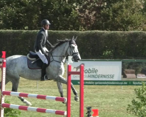 Reitturnier Nußdorf 2019