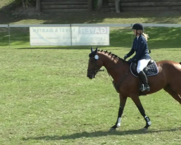Reitturnier Nußdorf 2019