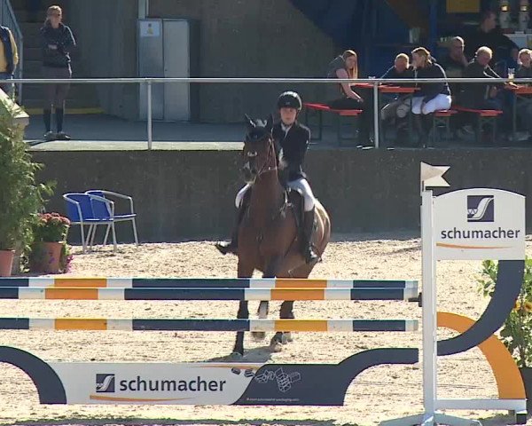 Reitturnier Küps/Ofr. 2019