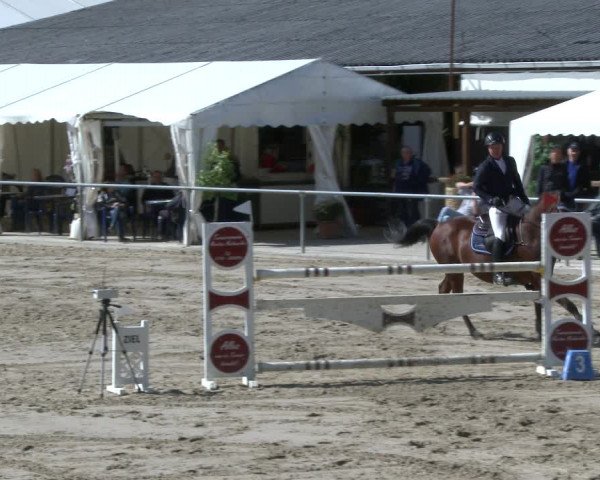 Reitturnier Neunkirchen-City 2019