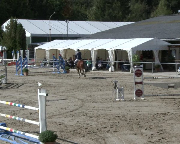 Reitturnier Neunkirchen-City 2019
