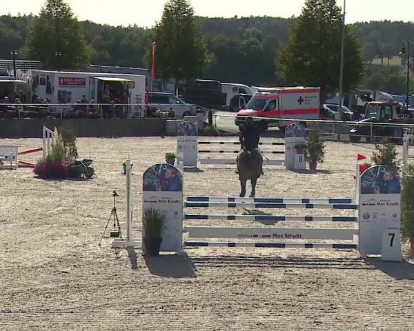 Reitturnier Küps/Ofr. 2019