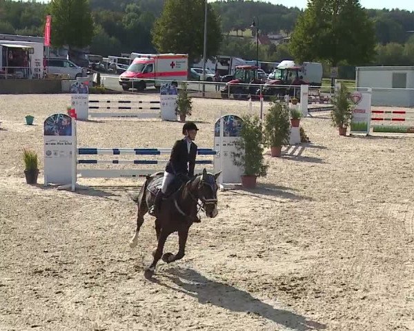 Reitturnier Küps/Ofr. 2019