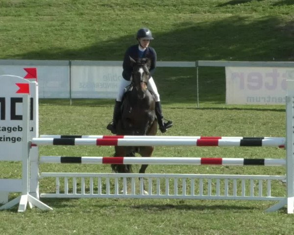 Reitturnier Nußdorf 2019