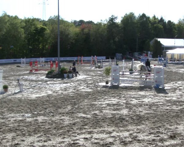 Reitturnier Neunkirchen-City 2019