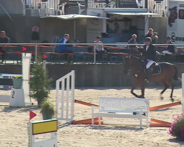 Reitturnier Küps/Ofr. 2019