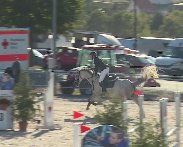 Reitturnier Küps/Ofr. 2019