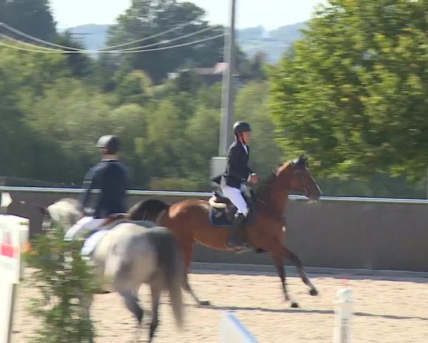 Reitturnier Küps/Ofr. 2019