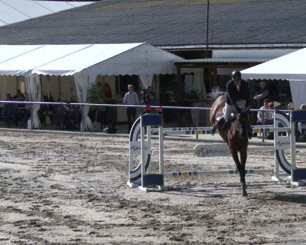 Reitturnier Neunkirchen-City 2019