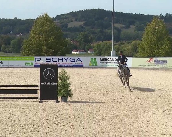 Reitturnier Küps/Ofr. 2019