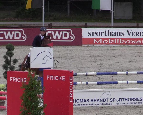 Reitturnier Westergellersen 2021