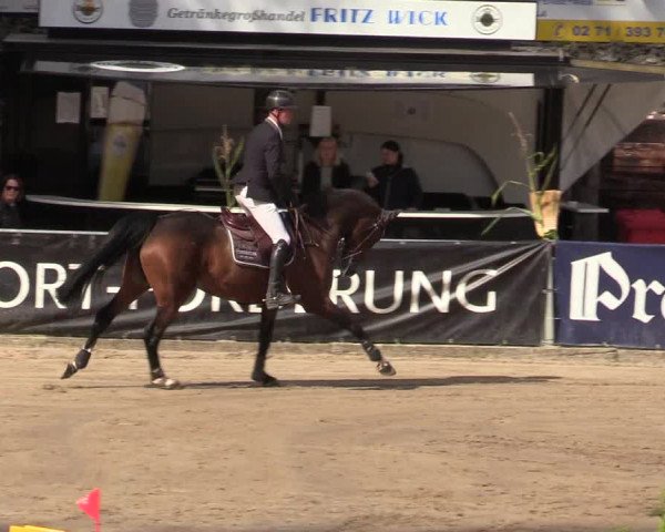 Reitturnier Siegen 2019