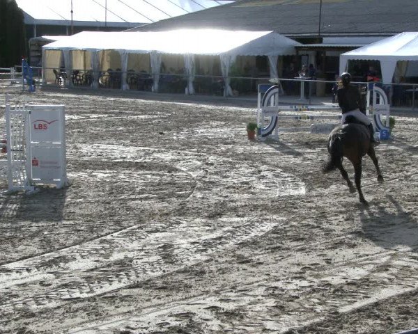 Reitturnier Neunkirchen-City 2019