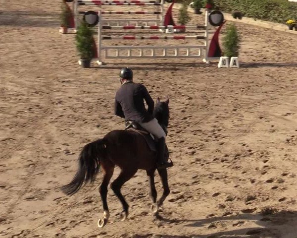 Reitturnier Siegen 2019