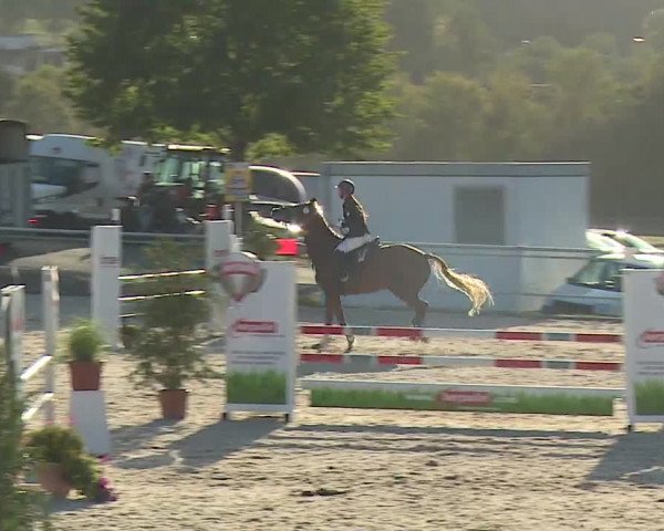 Reitturnier Küps/Ofr. 2019