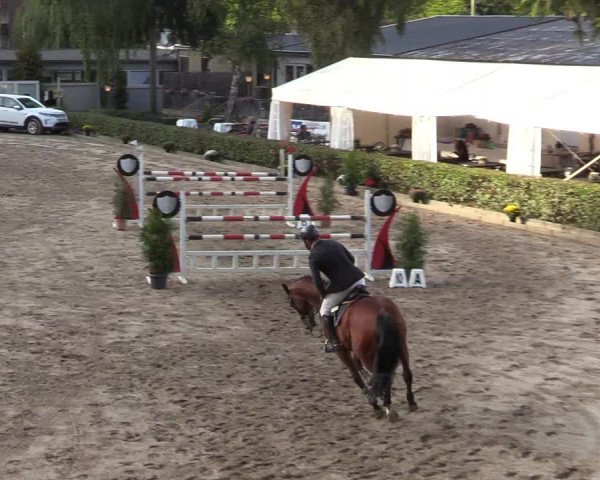Reitturnier Siegen 2019