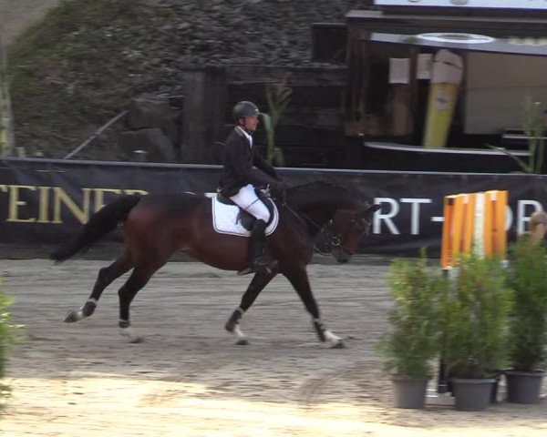 Reitturnier Siegen 2019