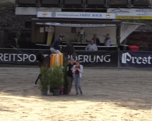 Reitturnier Siegen 2019