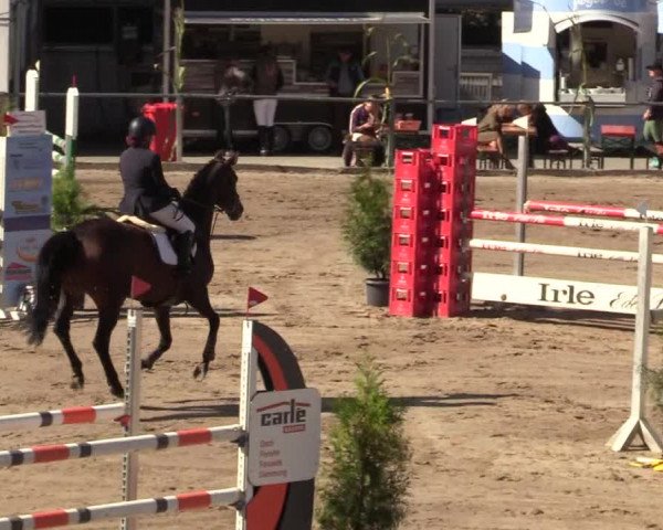 Reitturnier Siegen 2019