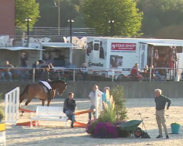 Reitturnier Küps/Ofr. 2019