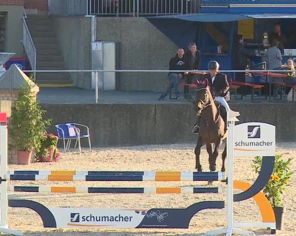 Reitturnier Küps/Ofr. 2019