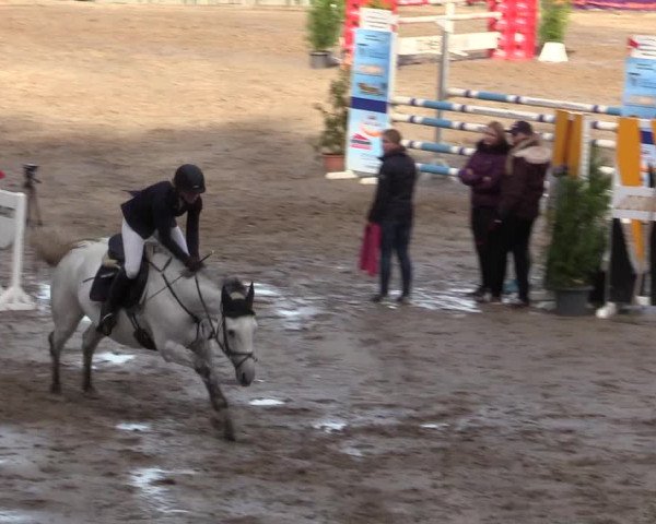 Reitturnier Siegen 2019