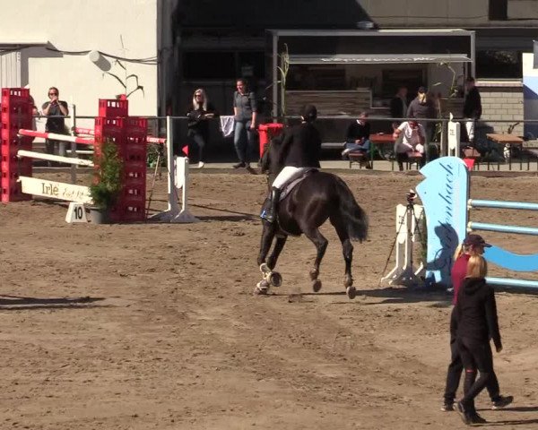 Reitturnier Siegen 2019