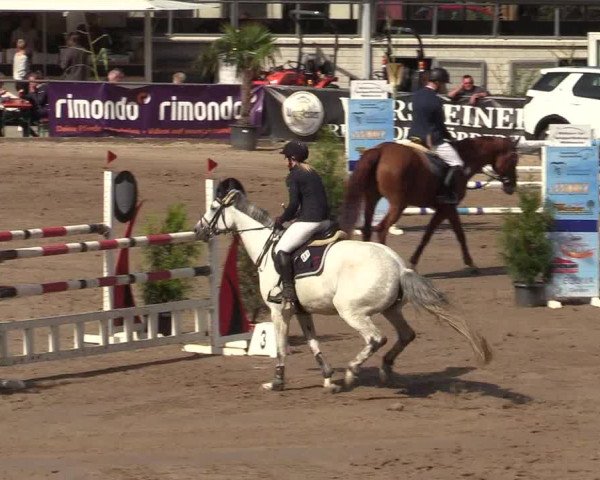 Reitturnier Siegen 2019