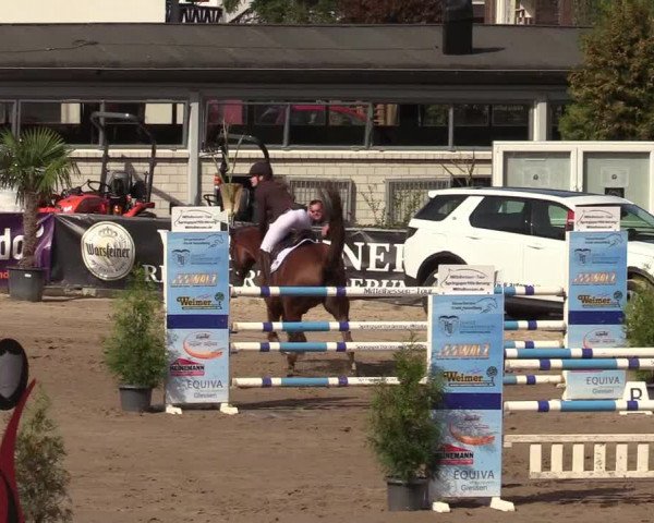 Reitturnier Siegen 2019