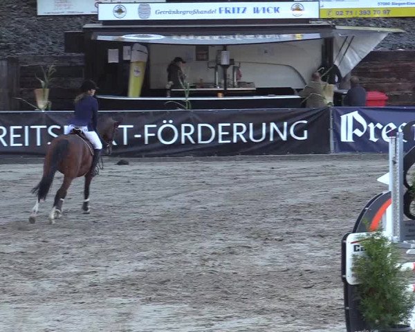 Reitturnier Siegen 2019