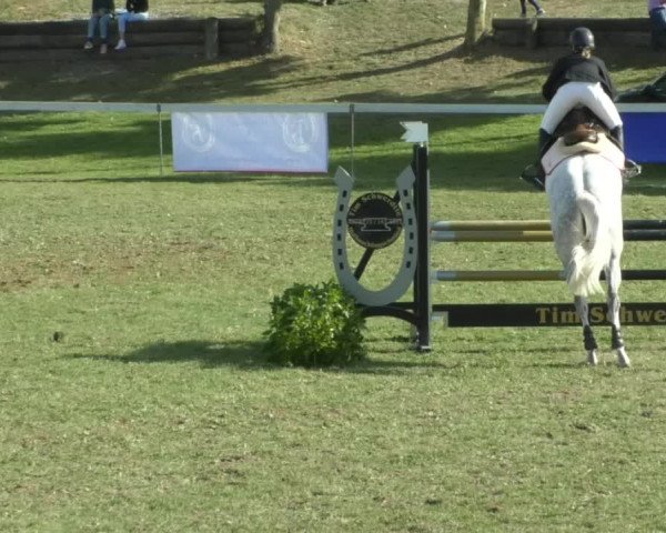 Reitturnier Nußdorf 2019