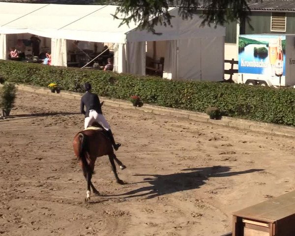Reitturnier Siegen 2019
