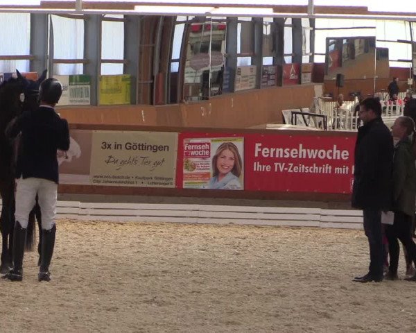 Reitturnier Hof Bettenrode 2019