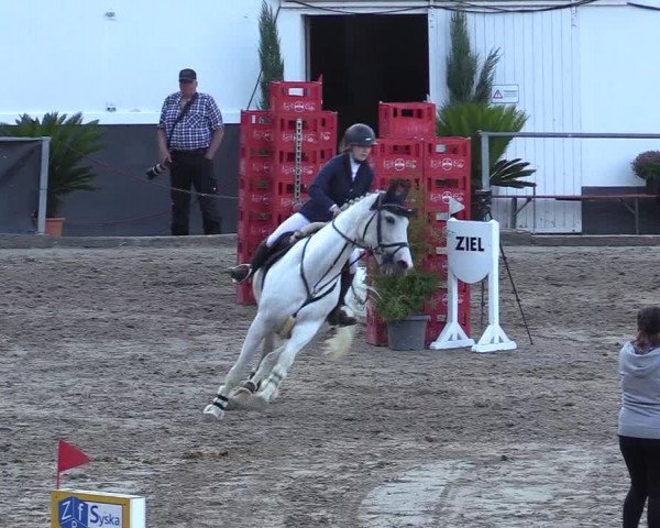 Reitturnier Siegen 2019