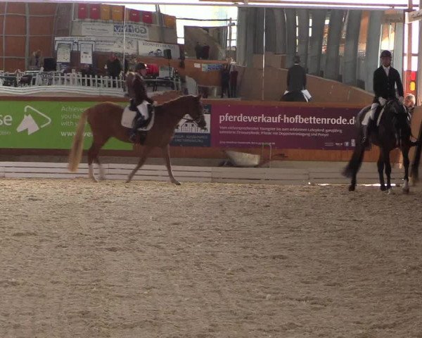 Reitturnier Hof Bettenrode 2019