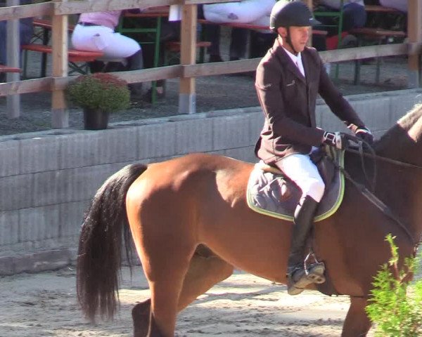 Reitturnier Siegen 2019