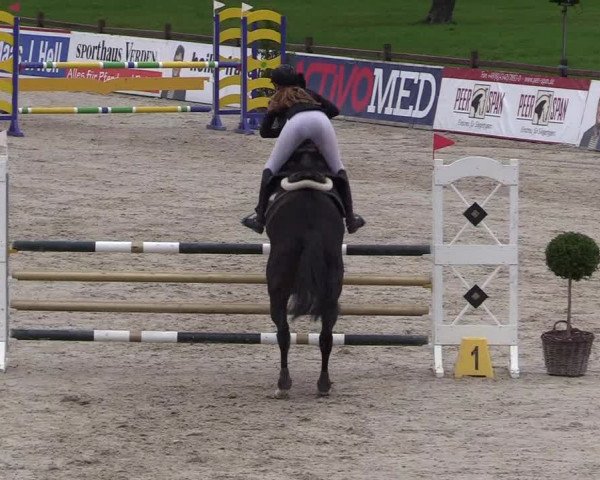 Reitturnier Westergellersen 2021