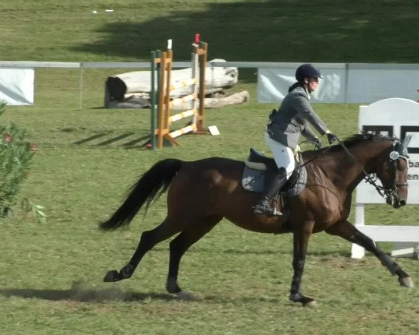 Reitturnier Nußdorf 2019