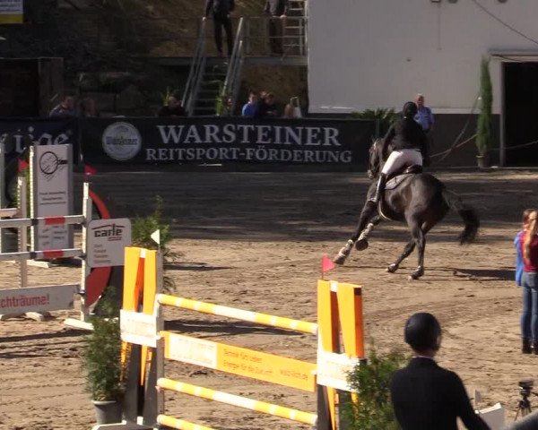 Reitturnier Siegen 2019