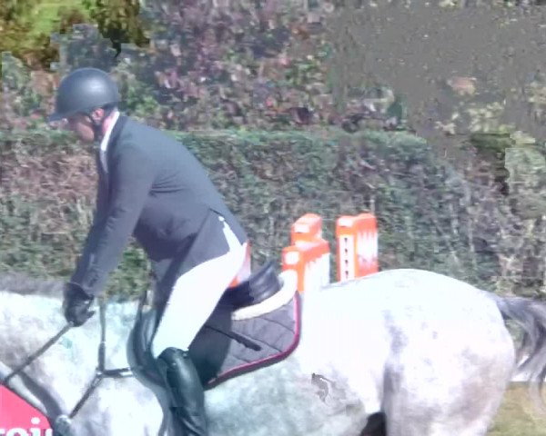 Reitturnier Nußdorf 2019