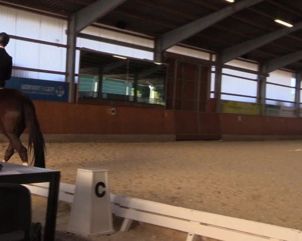 Reitturnier Hof Bettenrode 2019